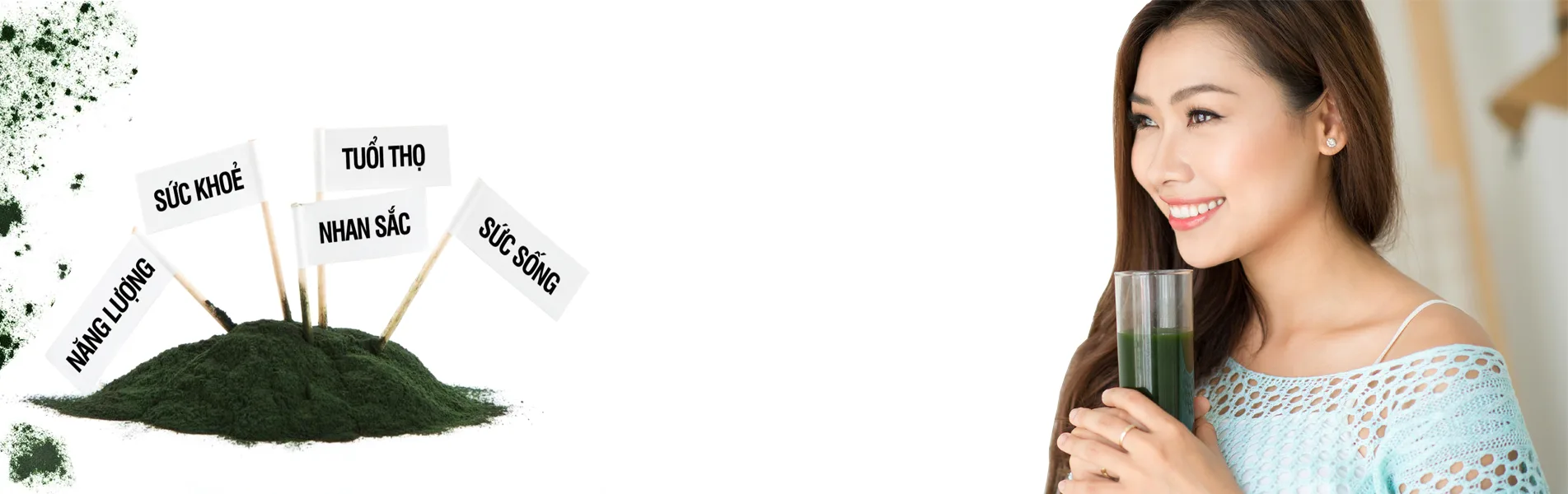 Tảo VĨnh Hảo banner